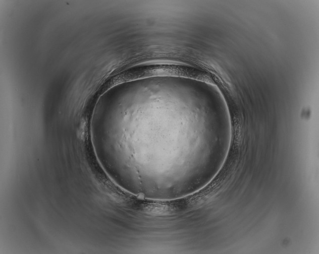 X0000095510123200712141432