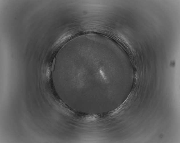 X0000095510124200712141432