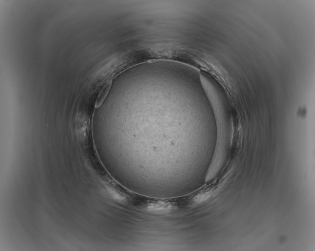 X0000095510125200712141432