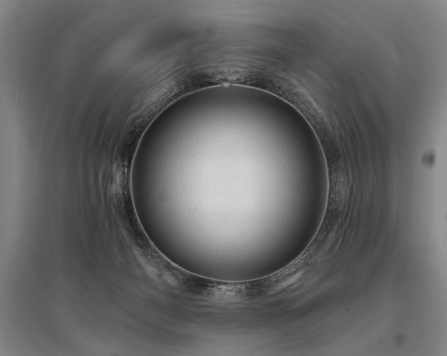 X0000095510126200712141432