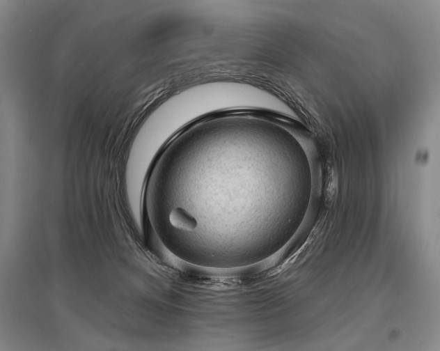 X0000095510128200712141432