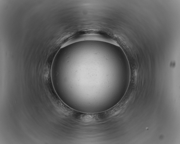 X0000095510129200712141432