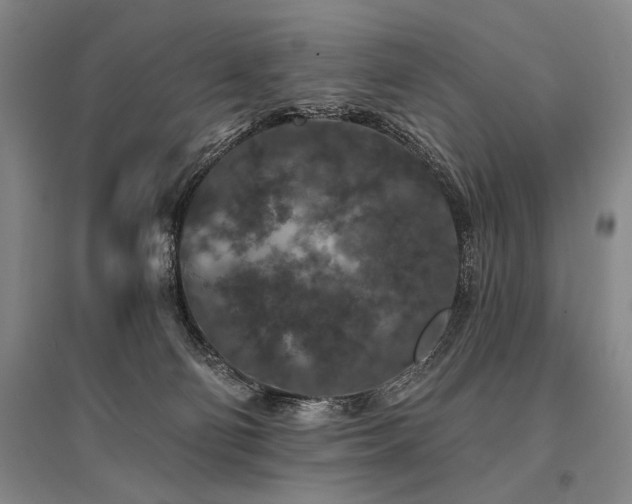 X0000095510130200712141432