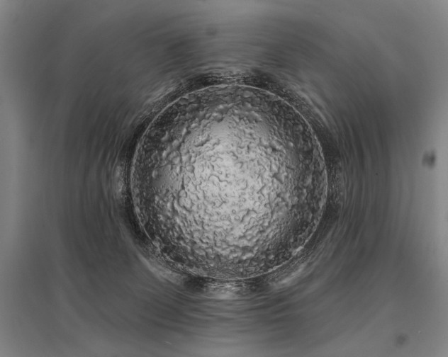 X0000095510131200712141432