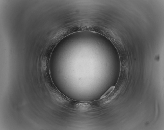 X0000095510133200712141432