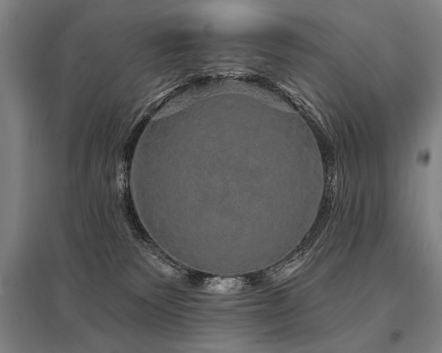 X0000095510135200712141432