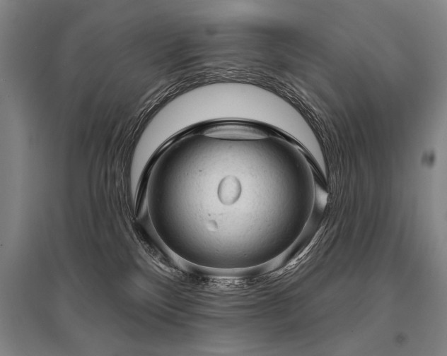 X0000095510136200712141432