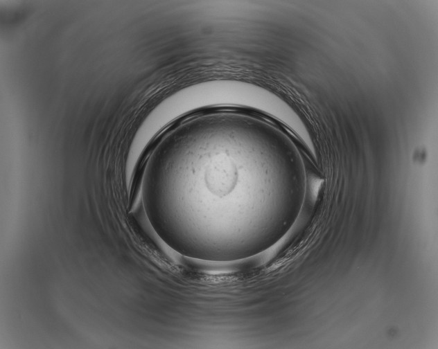X0000095510137200712141432