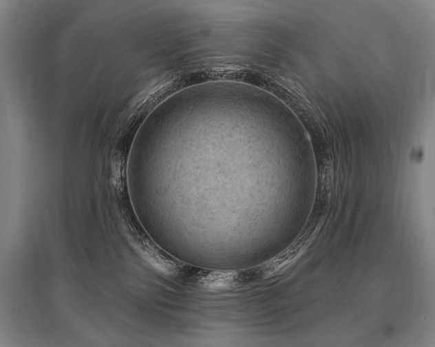 X0000095510138200712141432