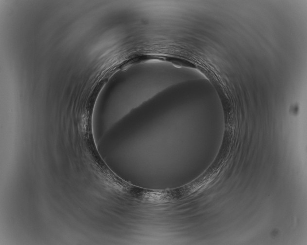 X0000095510139200712141432