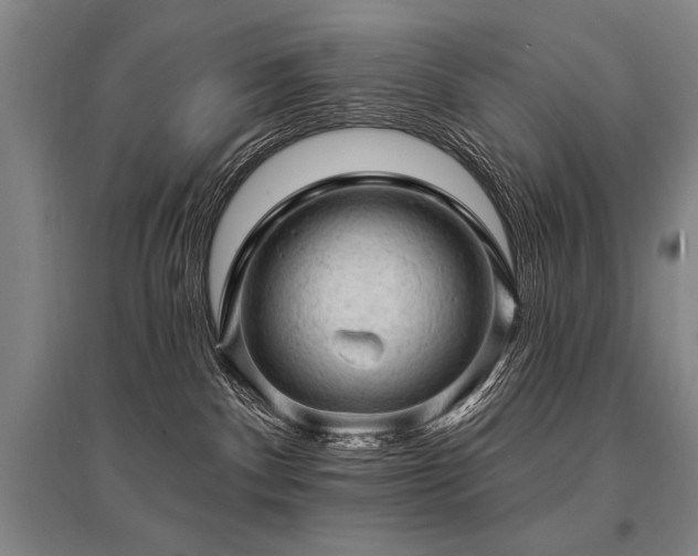 X0000095510140200712141432