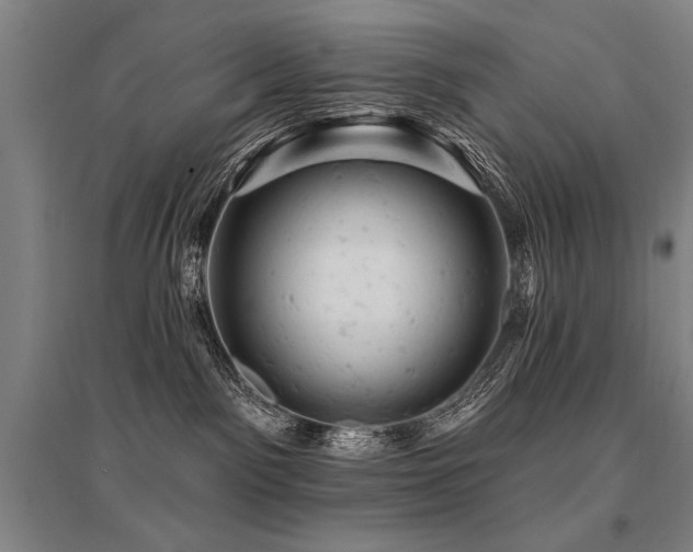 X0000095510141200712141432