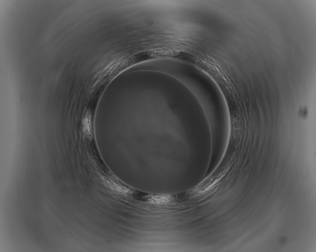 X0000095510143200712141432