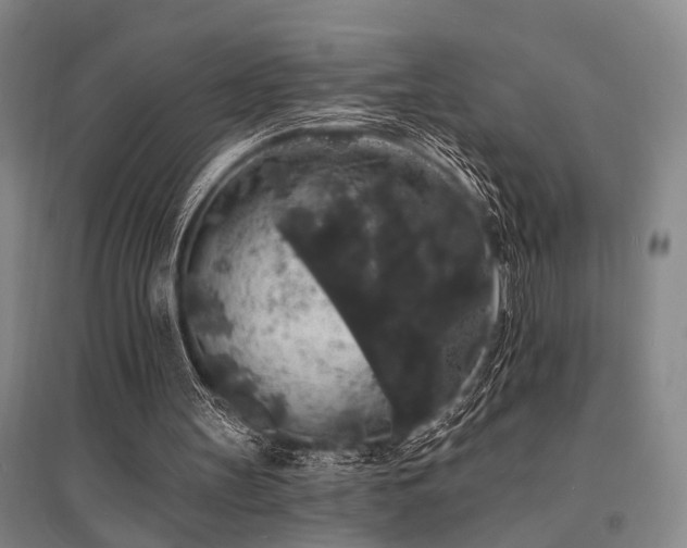 X0000095510147200712141431