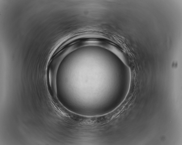 X0000095510148200712141431