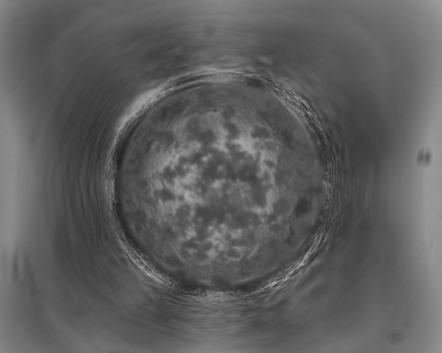 X0000095510149200712141431