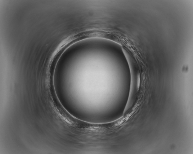 X0000095510150200712141431