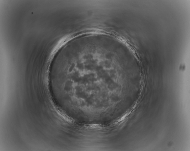 X0000095510151200712141431
