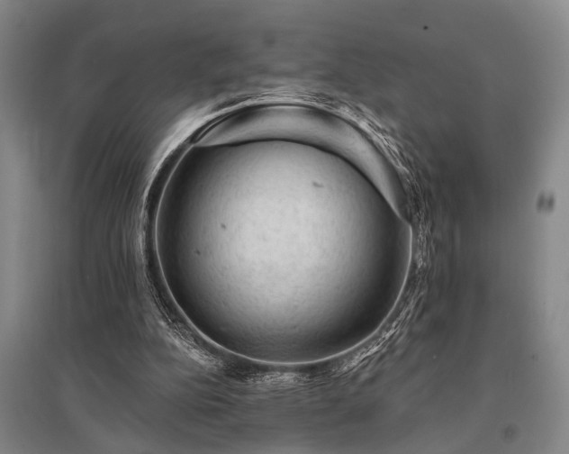X0000095510152200712141431