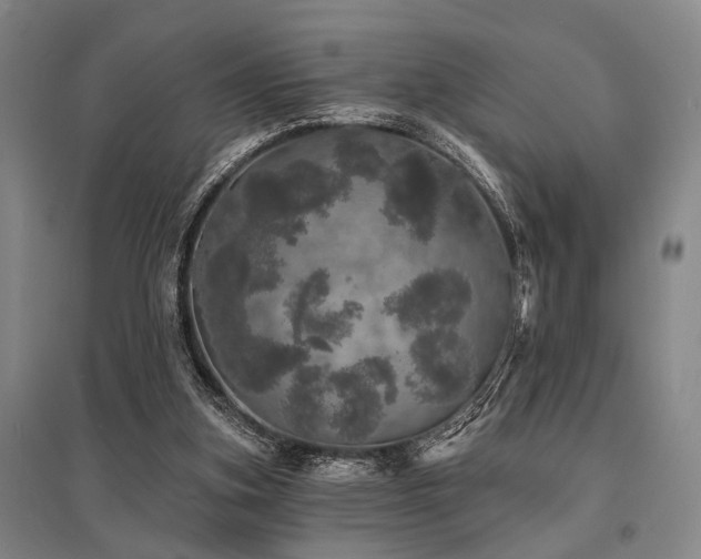 X0000095510155200712141431