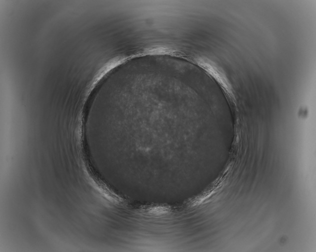 X0000095510156200712141431
