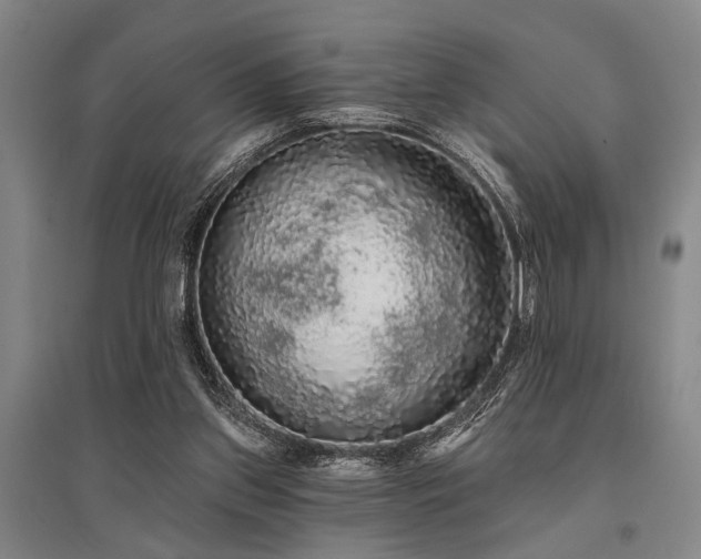 X0000095510157200712141431