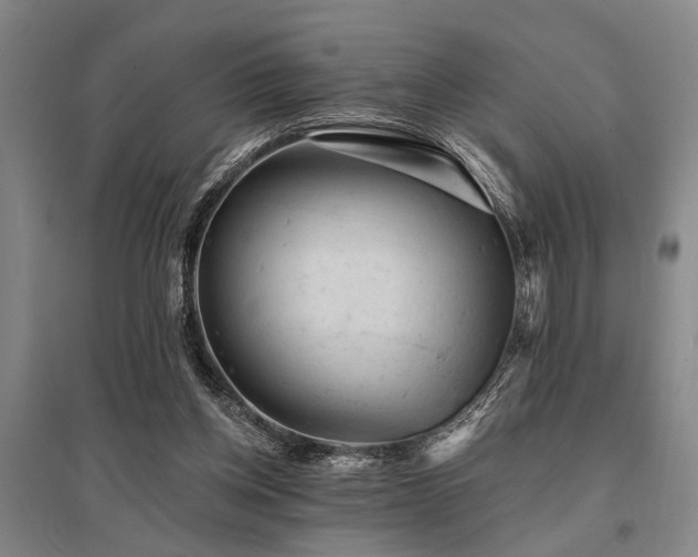 X0000095510158200712141431