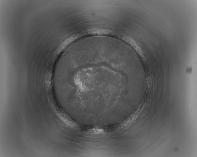 X0000095510159200712141431