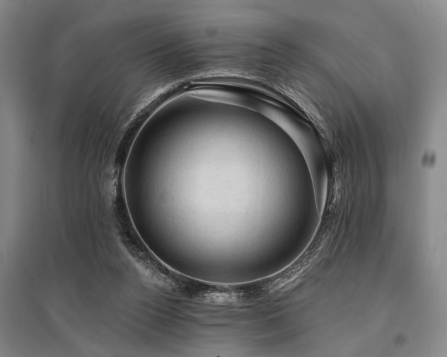 X0000095510160200712141431