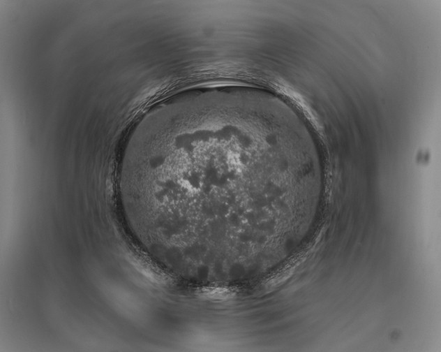 X0000095510161200712141431