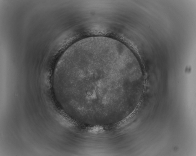 X0000095510162200712141431
