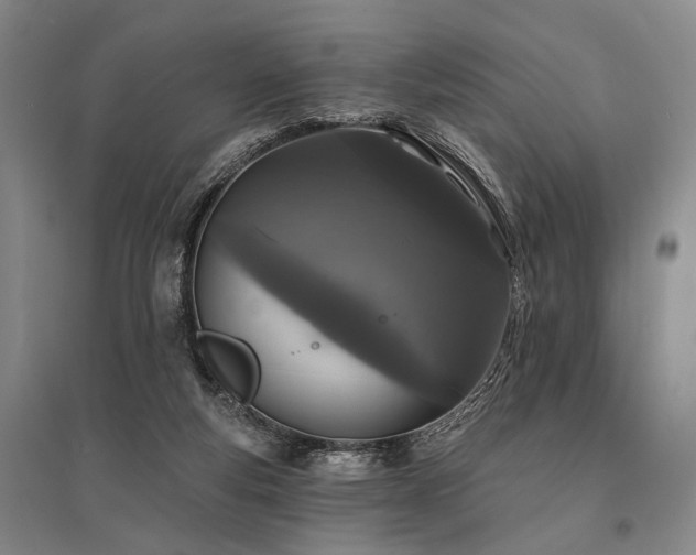 X0000095510163200712141431