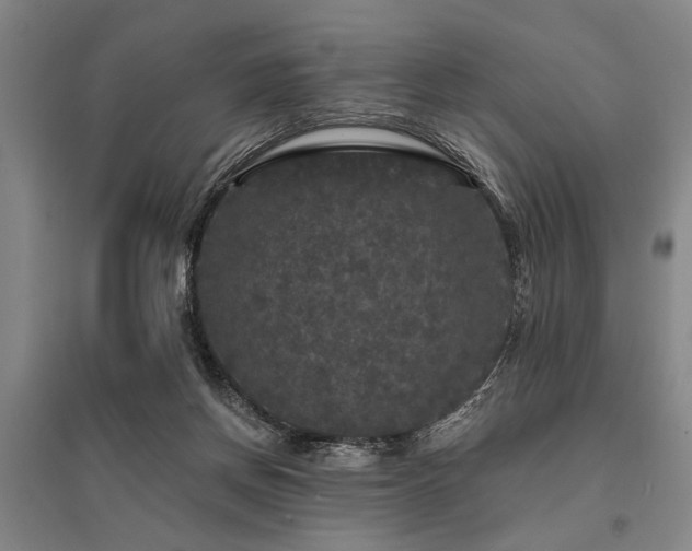 X0000095510166200712141431