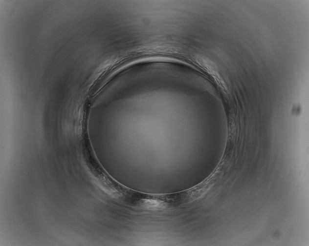 X0000095510167200712141431