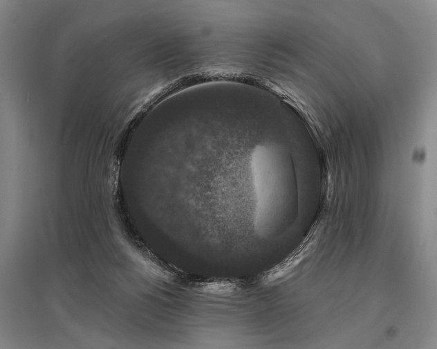 X0000095510168200712141431