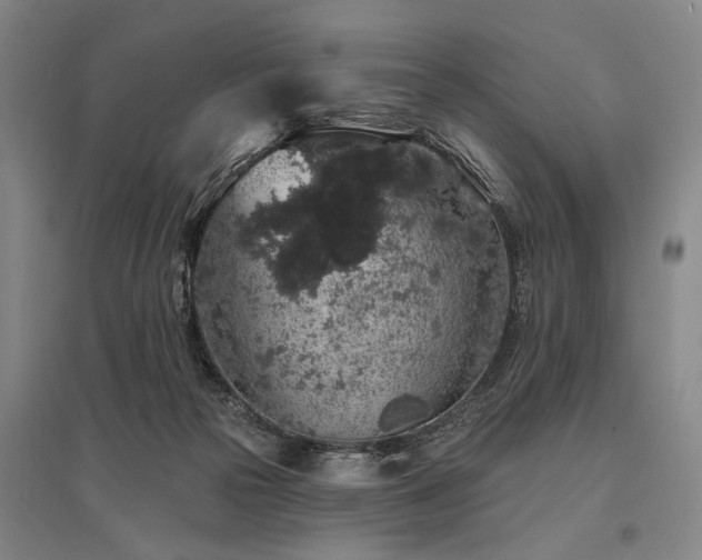 X0000095510169200712141431