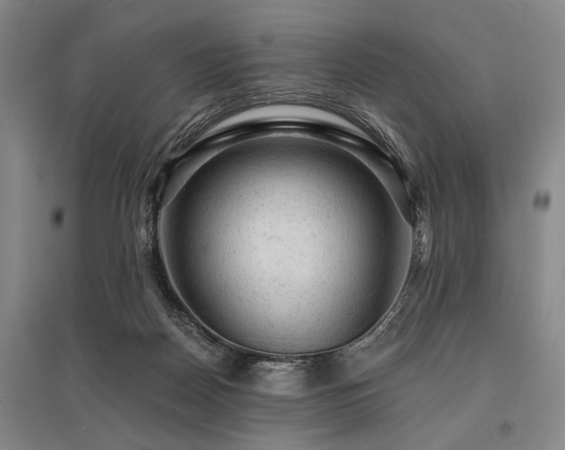 X0000095510170200712141431