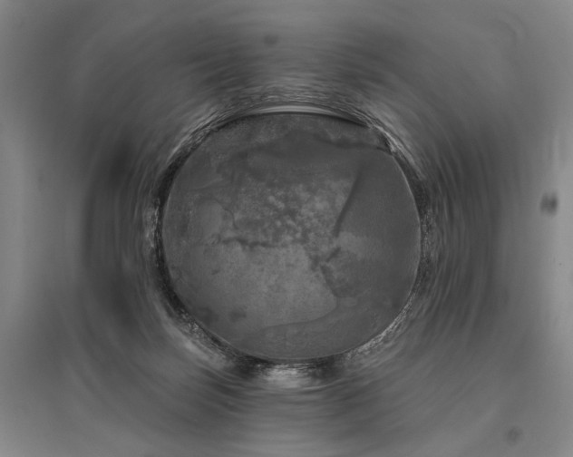 X0000095510171200712141431