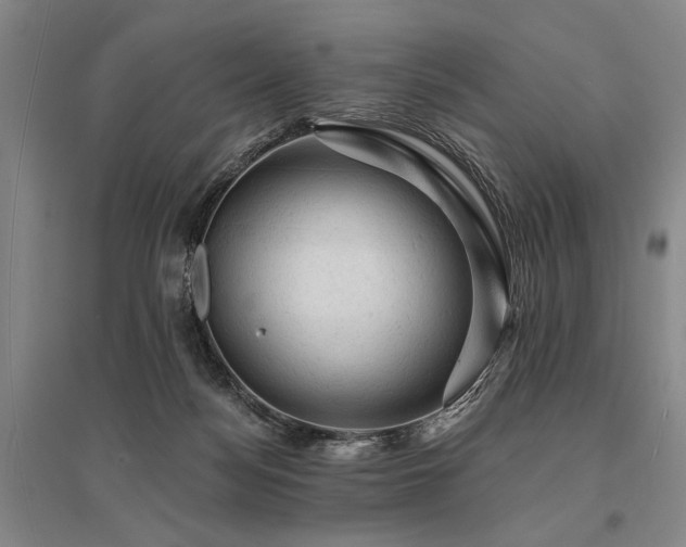 X0000095510172200712141431