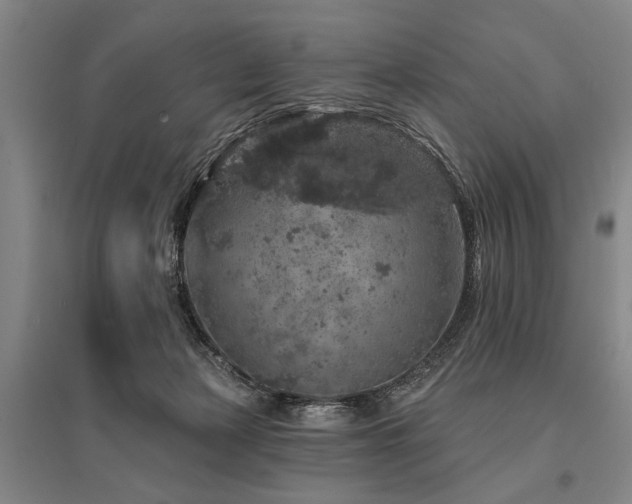 X0000095510173200712141431