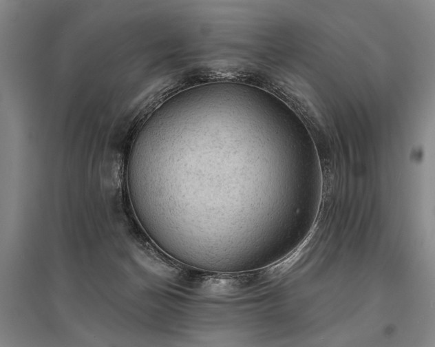 X0000095510174200712141431