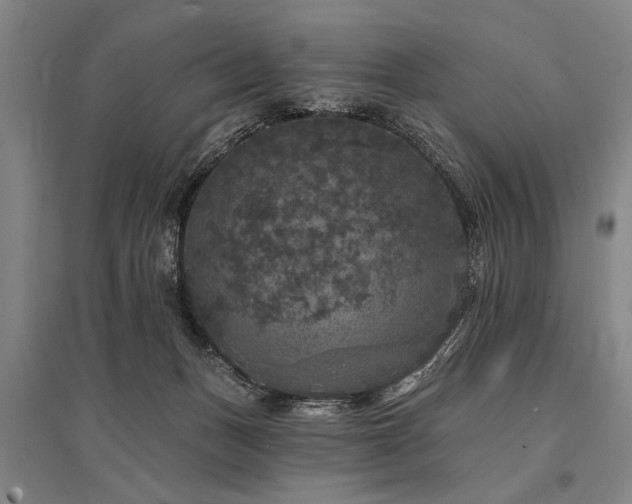 X0000095510175200712141431