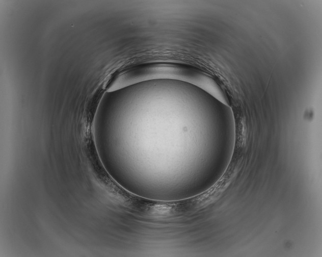 X0000095510176200712141431