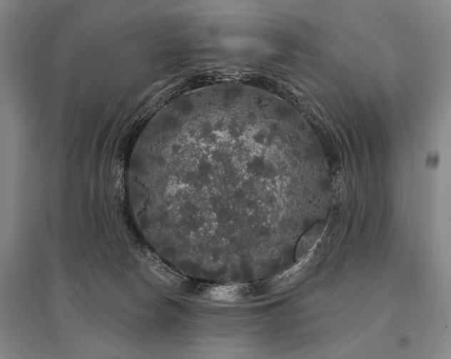 X0000095510178200712141431