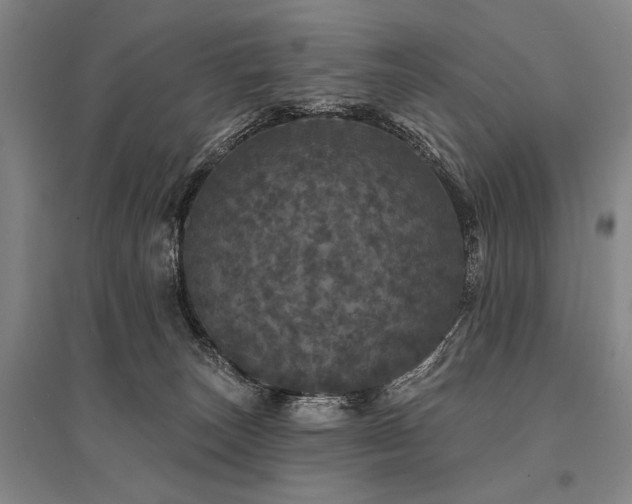 X0000095510179200712141431