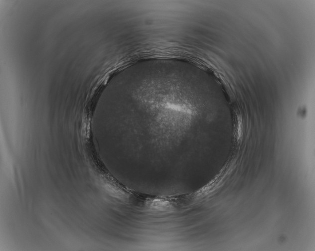 X0000095510180200712141431