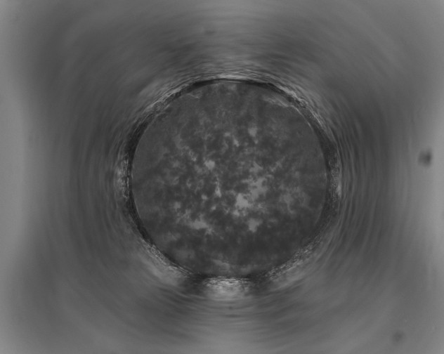 X0000095510181200712141431