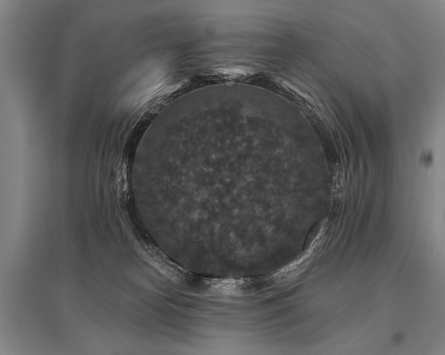 X0000095510182200712141431