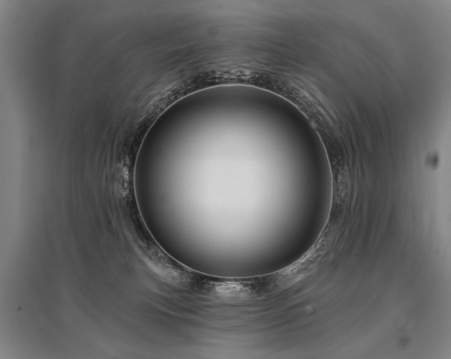 X0000095510183200712141431