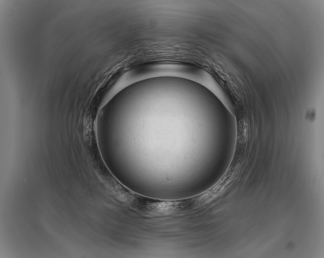 X0000095510184200712141431